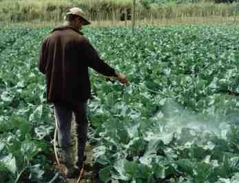 [agrotoxico[4].jpg]